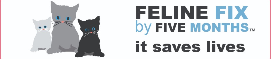 FIX-BY-FIVE-MONTHS banner